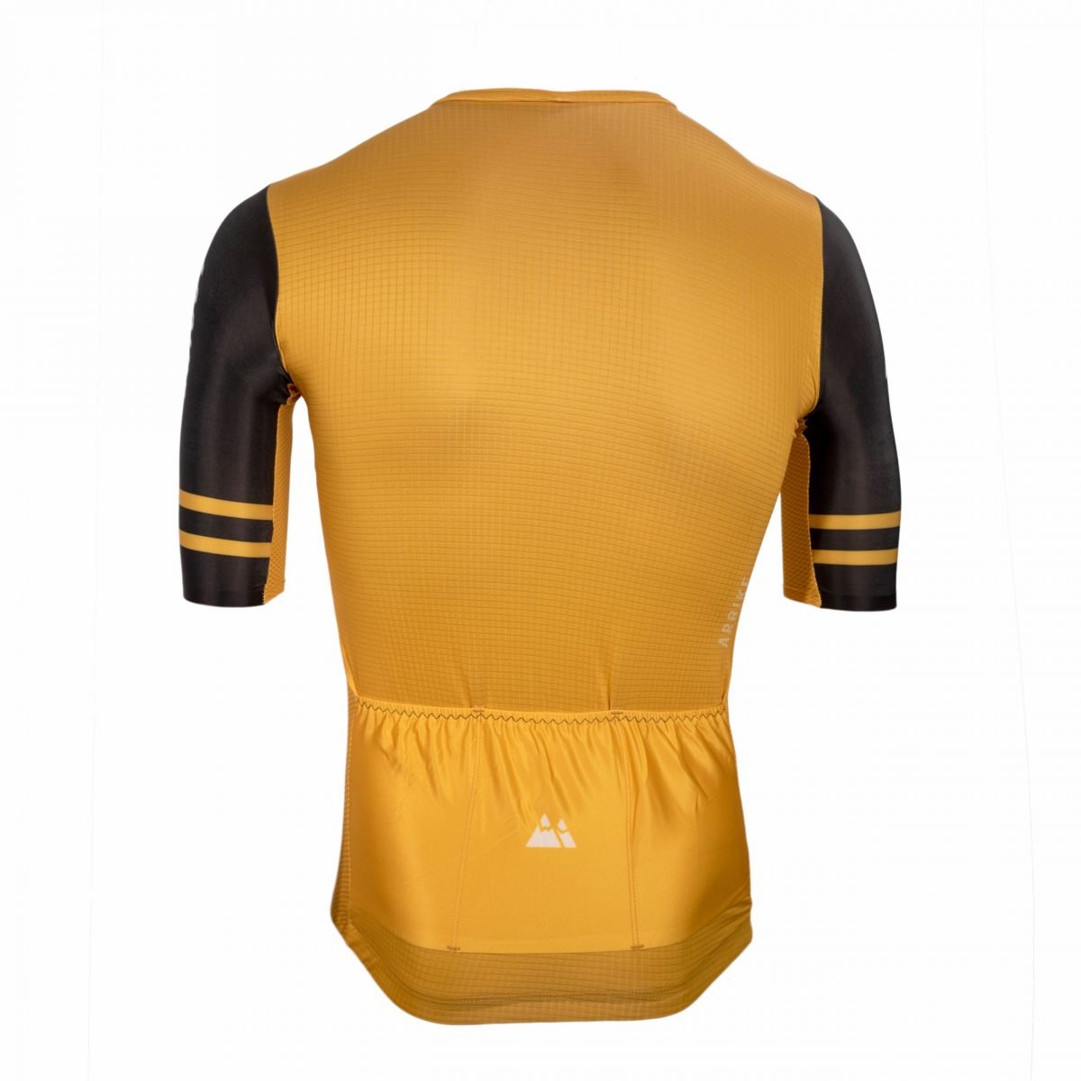 Alternative view of Maillot ProTeam Oro